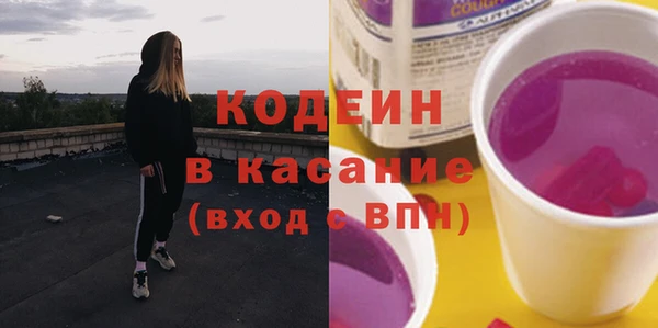 соль ск Кукмор