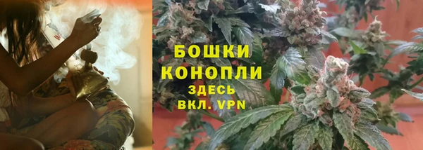 соль ск Кукмор