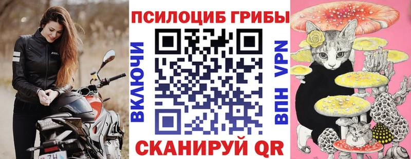 Псилоцибиновые грибы прущие грибы Белгород