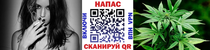 Марихуана ГИДРОПОН Белгород
